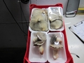 SETAS-EL-PINAR-Setas-cultivadas-Cultivated-mushrooms-Culture-de-champignons