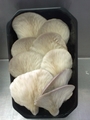 SETAS-EL-PINAR-Setas-cultivadas-Cultivated-mushrooms-Culture-de-champignons