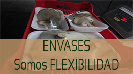 SETAS-EL-PINAR-Setas-cultivadas-Cultivated-mushrooms-Culture-de-champignons