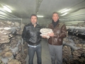 SETAS-EL-PINAR-Setas-cultivadas-Cultivated-mushrooms-Culture-de-champignons